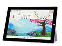 双阳Surface 无法开启、Windows 无法启动或电池无法充电