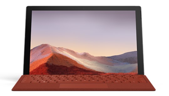 双阳清洁和维护 Surface